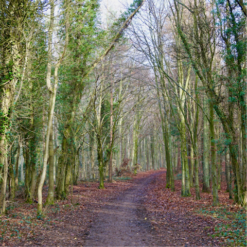Take a scenic stroll through the surrounding countryside