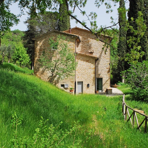 Relax in this peaceful spot among the olive and fruit trees