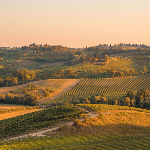 Explore your scenic surroundings in the rolling hills of Tuscany
