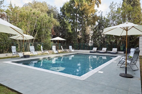 Cool off in the shared pool surrounded by tall trees