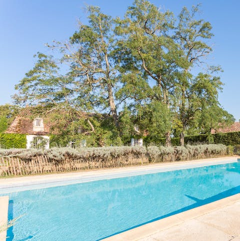 Swim under brilliant blue skies