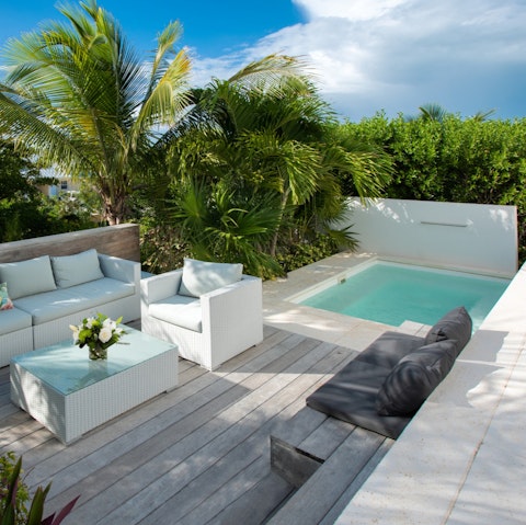 Cool off in the plunge pool surrounded by tropical palms