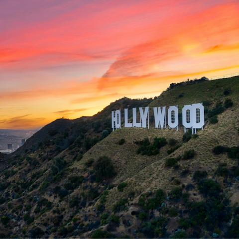 Explore all there is to see in the Hollywood Hills, right on your doorstep