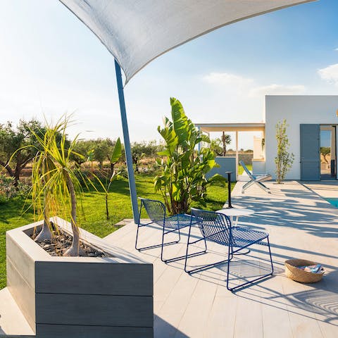 Find your favourite spot in the garden to soak up the setting Mediterranean sun