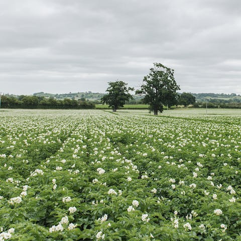 Stay in the heart of the countryside, amidst fields and fells