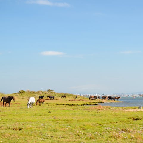 Explore the local beaches and nature reserve