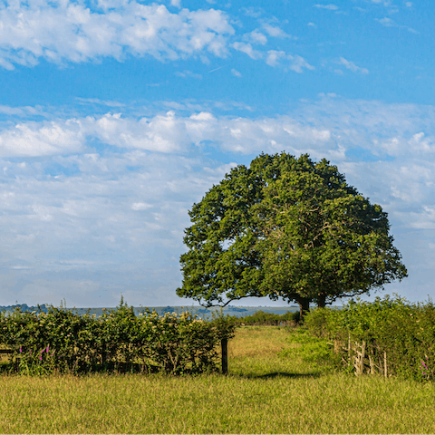 Lace up your walking boots and wind through the endless countryside that surrounds your home