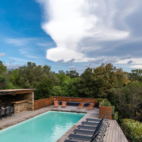 Relax by the pool, surrounded by trees