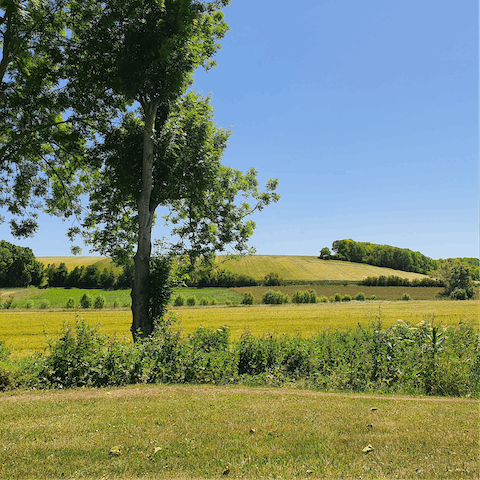 Discover the beautiful Loire Valley