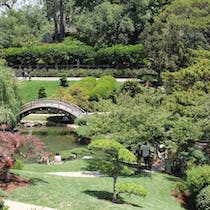 Grounds abound in Huntington Gardens