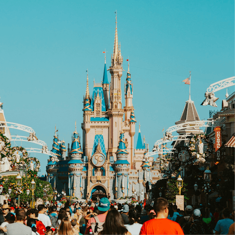 Find the fun and joy of Florida in Disney World