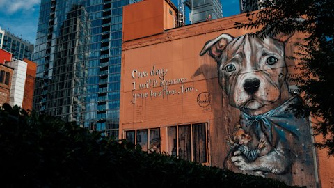 Explore The Gulch's trendy boutiques, murals, and acclaimed restaurants