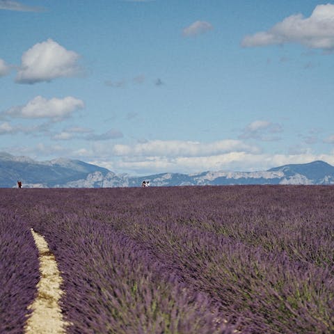 Enjoy quintessential French charm from the heart of the Luberon