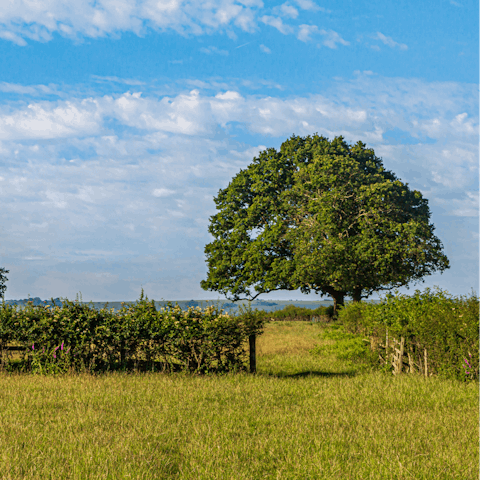 Explore the verdant Gloucestershire countryside on your doorstep