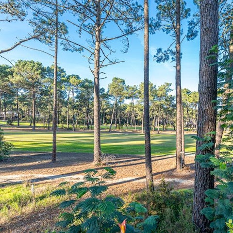 Wander around the local parkland in blissful serenity