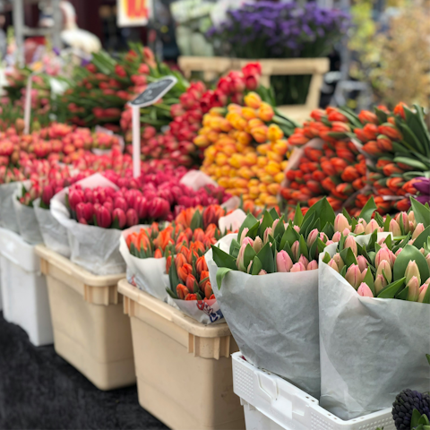 Spend a Sunday at Columbia Road Flower Market