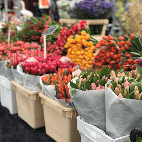 Spend a Sunday at Columbia Road Flower Market