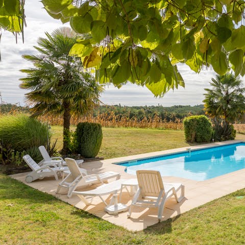 Admire the views from your sun lounger