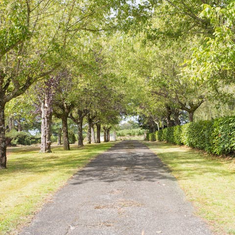 Wander down the tree-lined avenues on the grounds