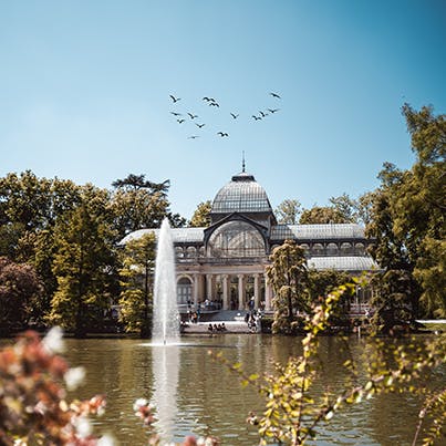 Enjoy a sunny stroll around El Retiro Park