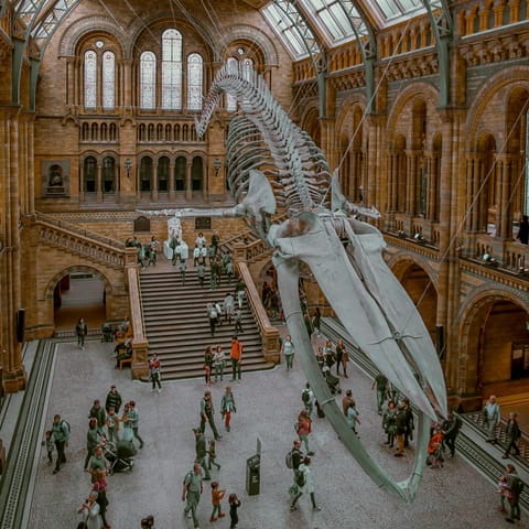 Travel three stops on the District line to the museums of South Kensington