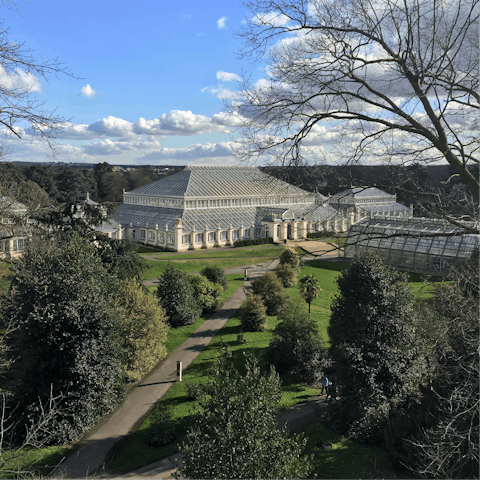 Explore London, including beautiful Kew Gardens, a short stroll away