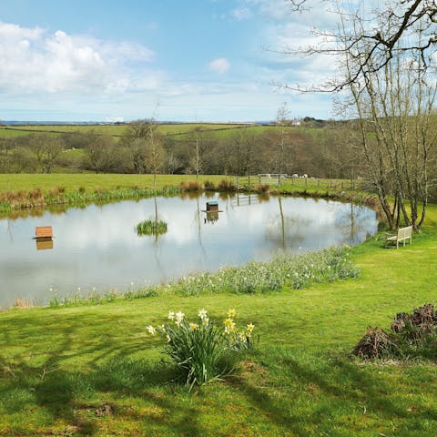 Sit by the private lake and enjoy the quiet of nature that surrounds you