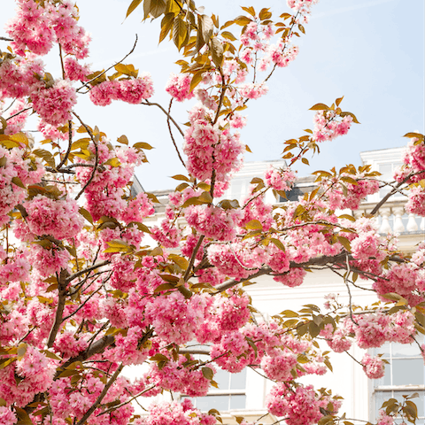 Experience staying on one of West London's iconic garden squares