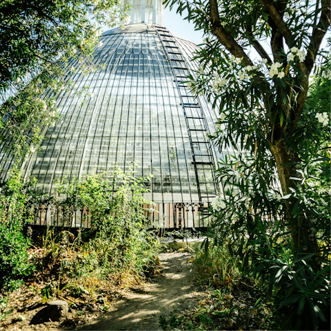 Stroll around Park Necessidades, ten minutes away