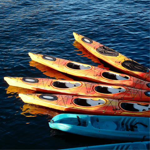 Kayak around Strangford Lough – the UK's largest sea lough