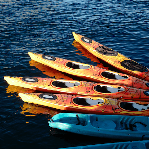 Kayak around Strangford Lough – the UK's largest sea lough