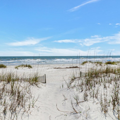 Step outside and stroll straight onto North Forest Beach