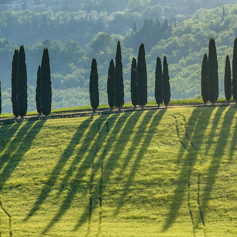 Stay in the heart of the Tuscan countryside