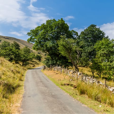 Roam or cycle the surrounding Somerset countryside