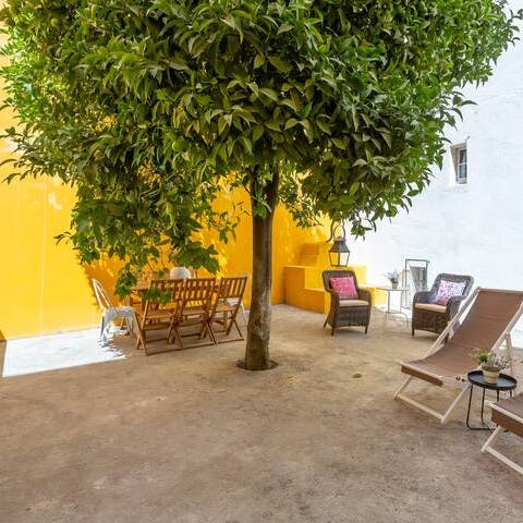 Sit outside on your private patio, complete with orange tree