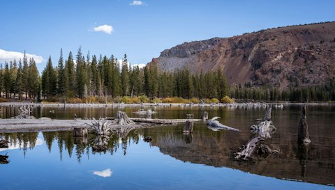 Discover the area's beautiful lakes – within driving distance