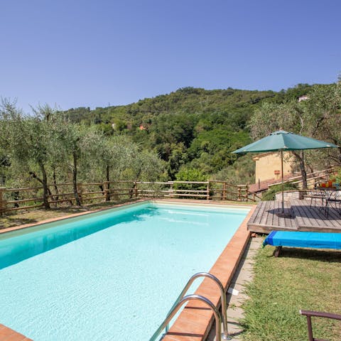 Cool off from the Tuscan sun with a dip in the shared pool