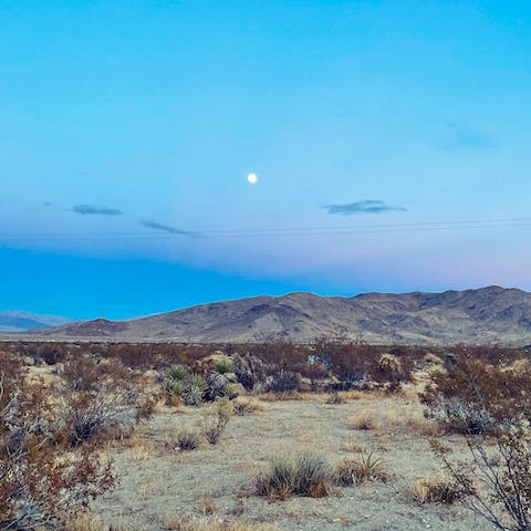 Go for a hike around Joshua Tree National Park, which starts a mile down the road