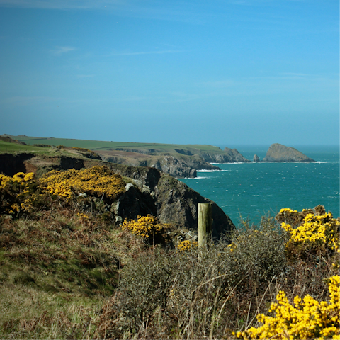 Explore the stunning Pembrokeshire coastline