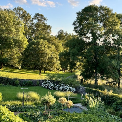 Enjoy walks in the picturesque gardens