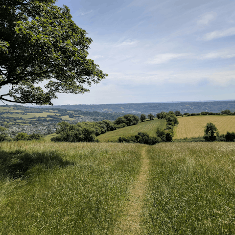 Immerse yourself in the natural beauty of the Cotswolds