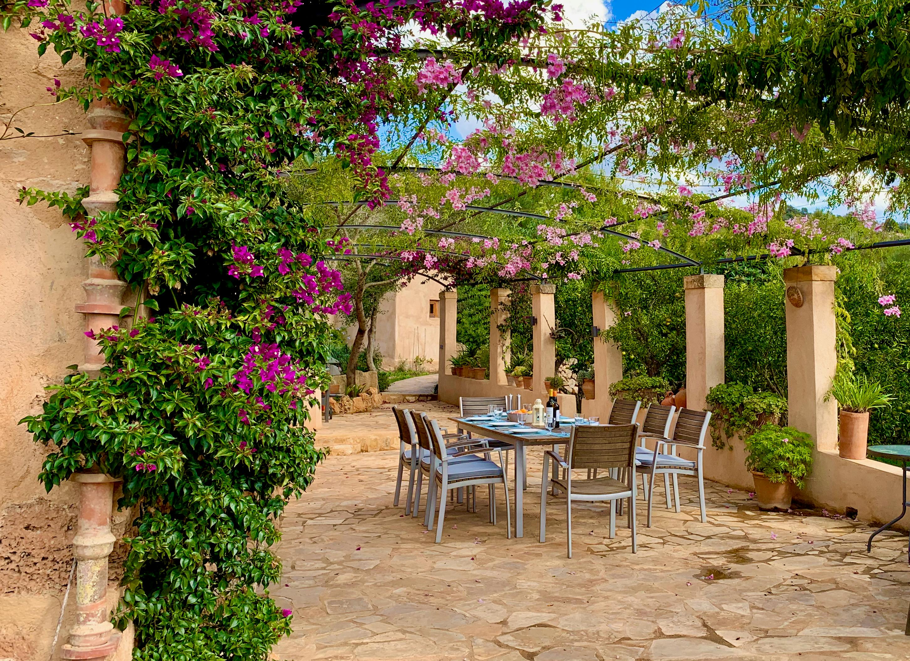 The Old Mallorcan Orchard