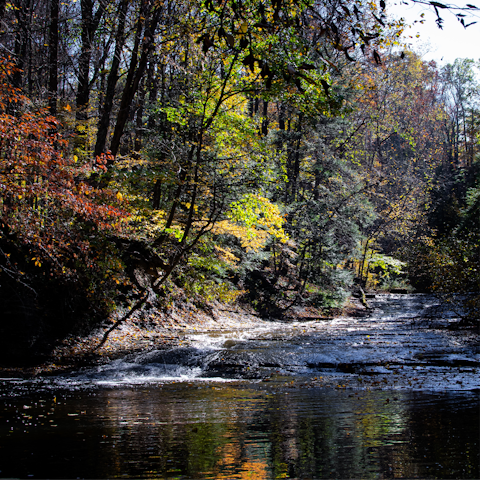 Hike any one of the three hiking trails in the immediate surroundings