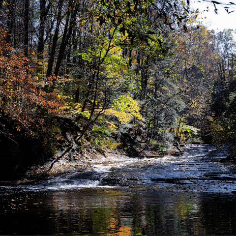 Hike any one of the three hiking trails in the immediate surroundings