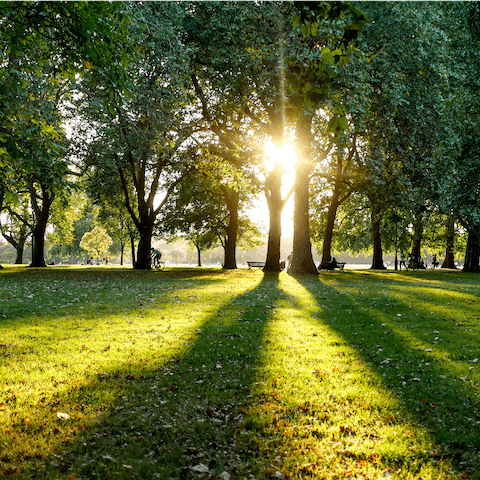 Take a morning stroll through Hyde Park, just five minutes' walk away