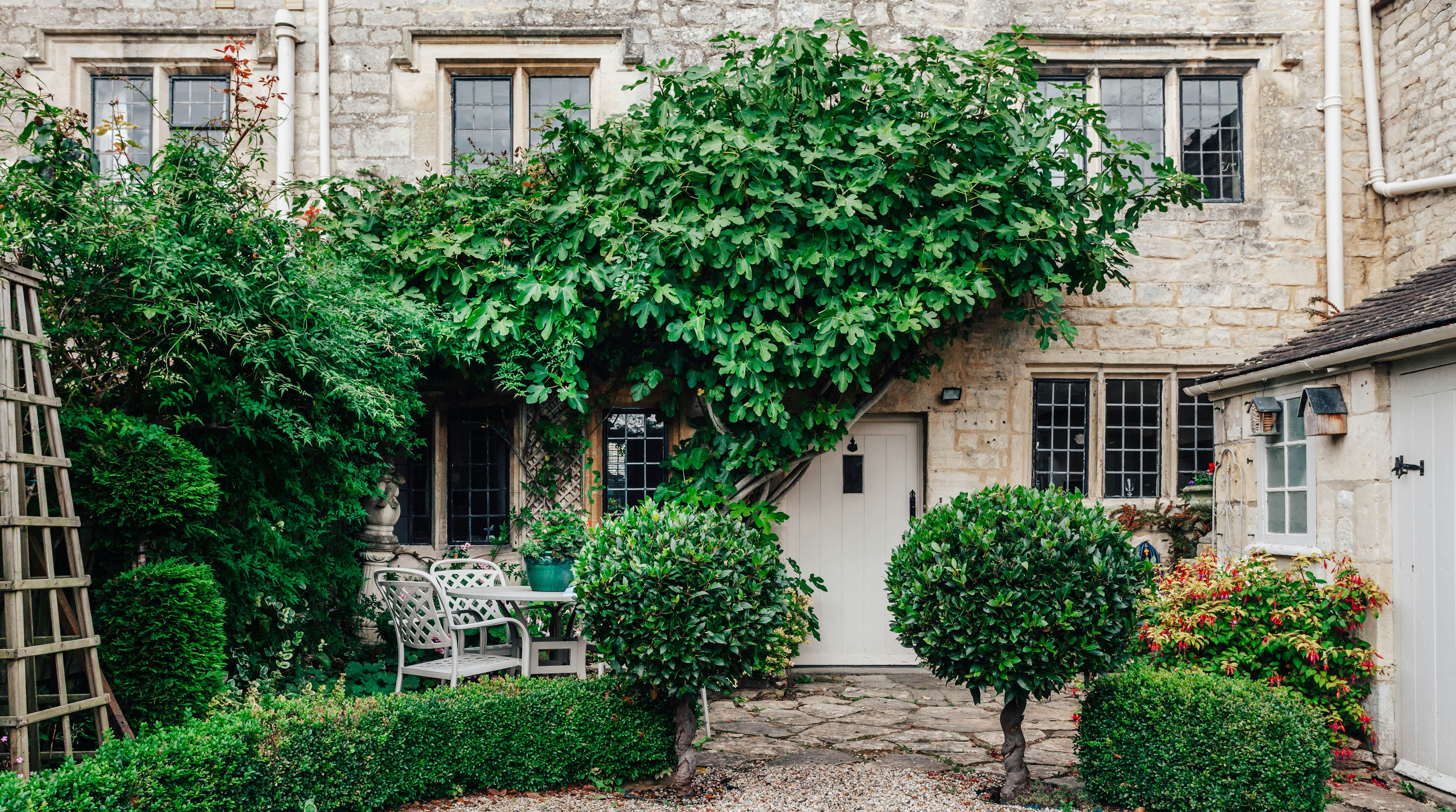 The 99 Yew Trees