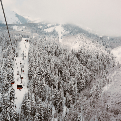 Whizz down the area's world-class slopes