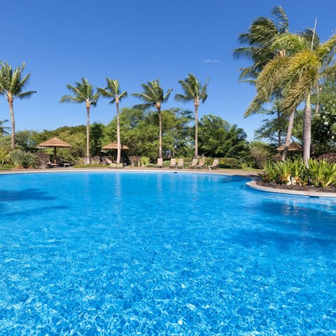Enjoy the resort amenities, including the sunny pool