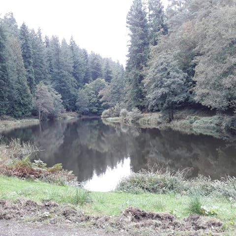 Enjoy a fresh-air filled hike through Woorgreens Nature Reserve