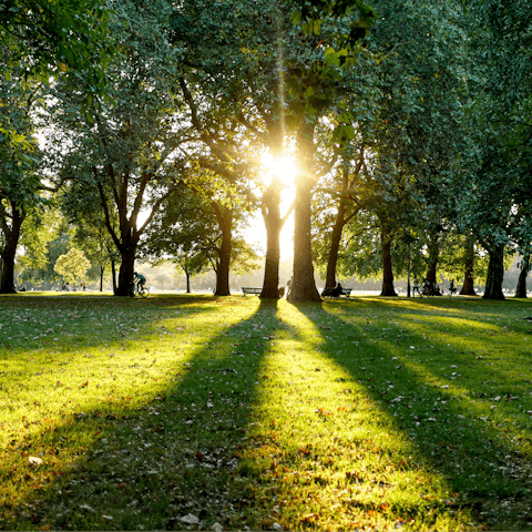 Take a stroll through Hyde Park, less than twenty minutes away from home